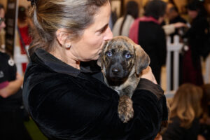 A woman kissing a blue eyed puppy at BC SPCA's Offleashed Vancouver Gala 2023