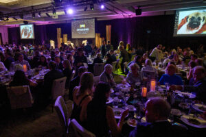 Guests having dinner at BC SPCA's Offleashed Vancouver Gala 2023